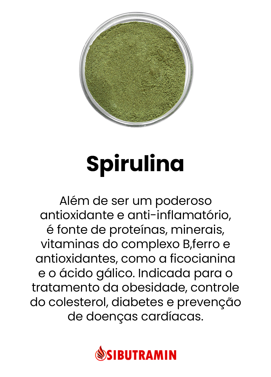 Spirulina4